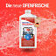 Maxxi Clean - Maxxi Clean 1L Backofen- und Grillreiniger (1.101.001.1000)