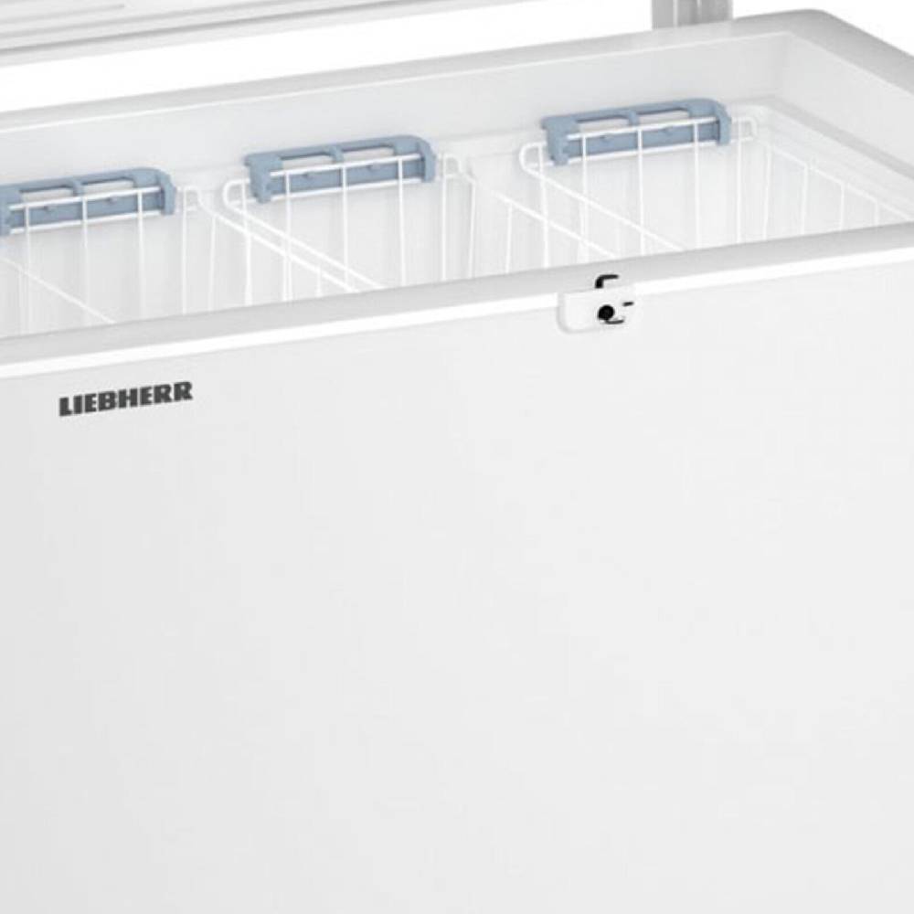 aruh_vertrieb Liebherr Gefriertruhe Tiefkühltruhe 192 Liter Eisschrank Gefriergerät Display Räumungsverkauf