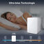 Light Up Your Life Puluomis 230V 4L Mini Kühlschrank - Weiß Discount Store für neue Produkte