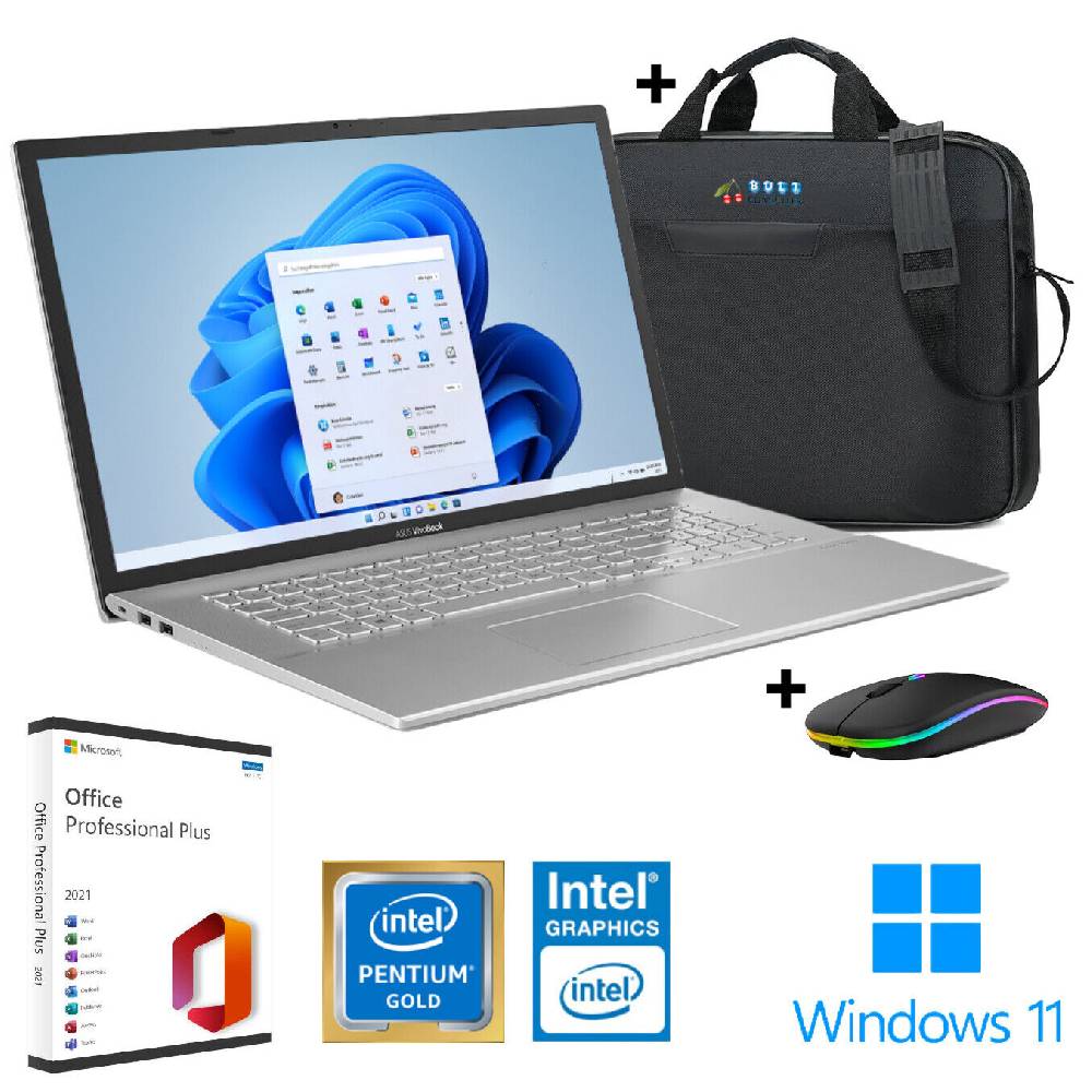 Buli Computer ASUS 17" HD+ Notebook ~ Intel Pentium Gold 7505 ~ bis 36GB RAM ~ 2TB SSD ~ Win11